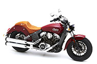 Indian Scout Models