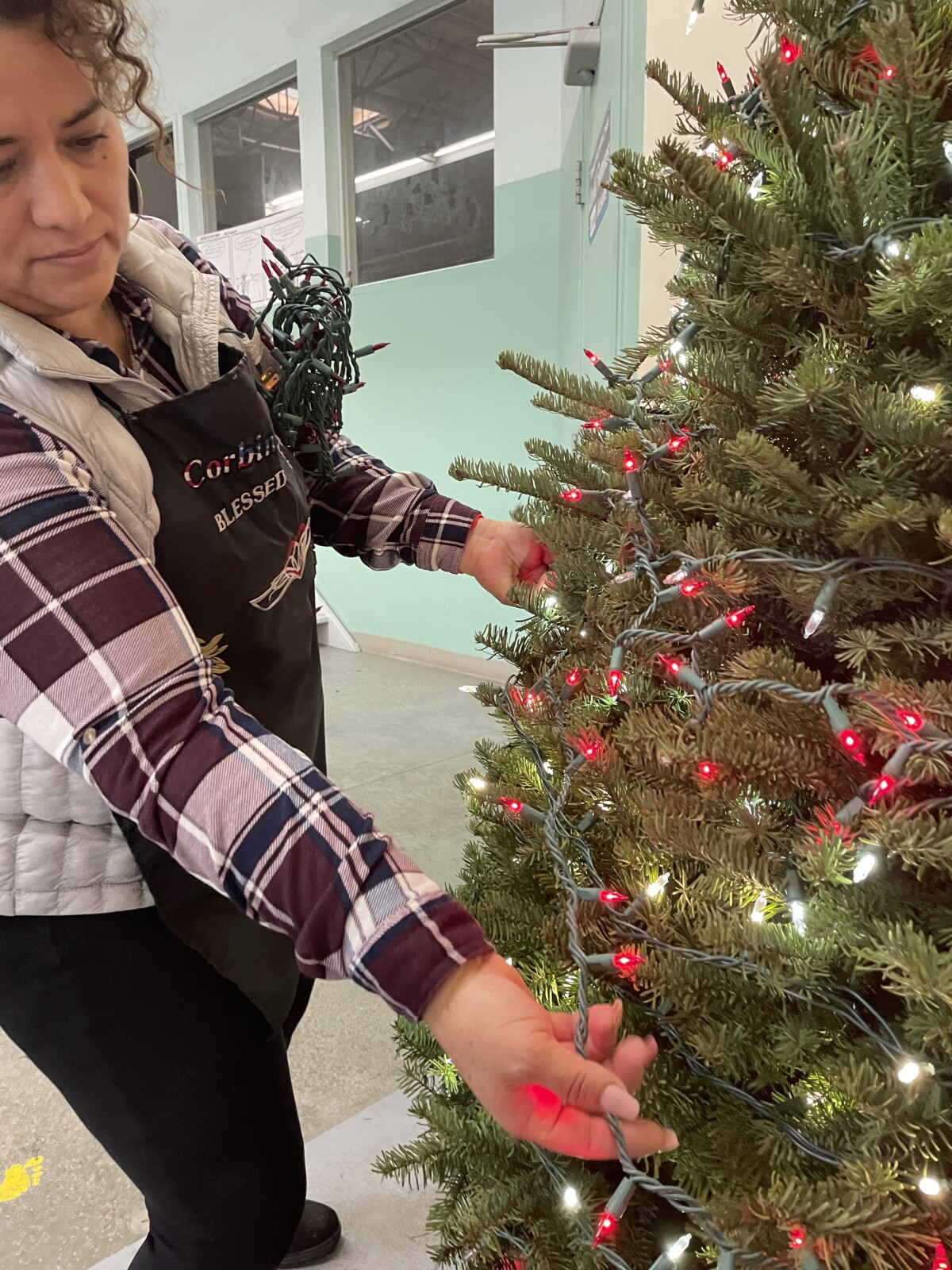 Adriana decorates the Christmas tree